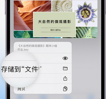 东光apple维修中心分享iPhone文件应用中存储和找到下载文件