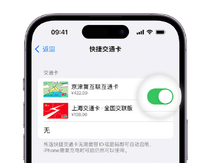 东光apple维修点分享iPhone上更换Apple Pay快捷交通卡手绘卡面 