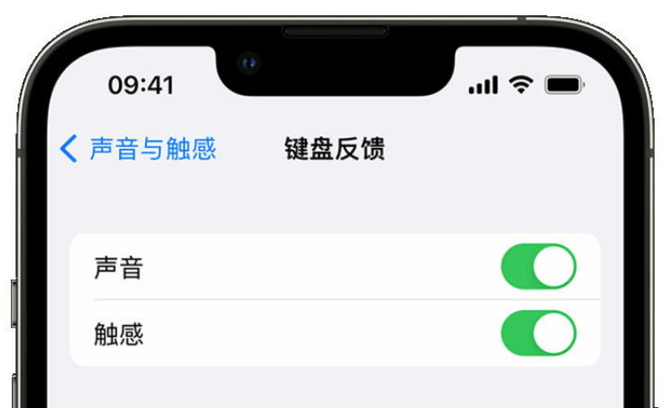 东光苹果手机维修分享iPhone 14触感键盘使用方法 