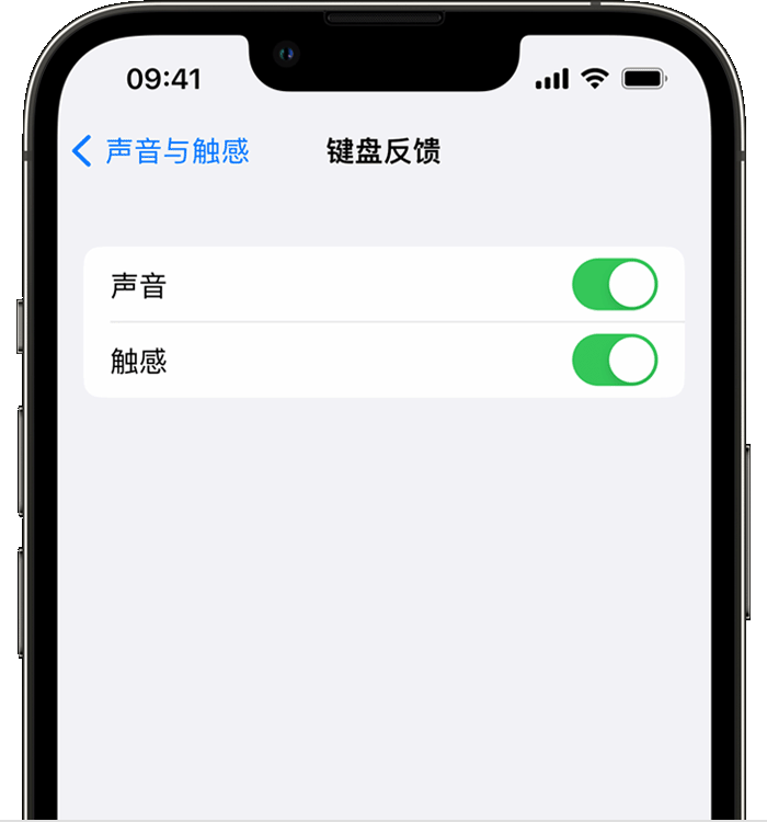 东光苹果14维修店分享如何在 iPhone 14 机型中使用触感键盘 