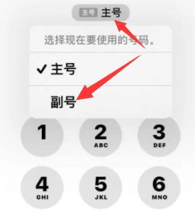 东光苹果14维修店分享iPhone 14 Pro Max使用副卡打电话的方法 