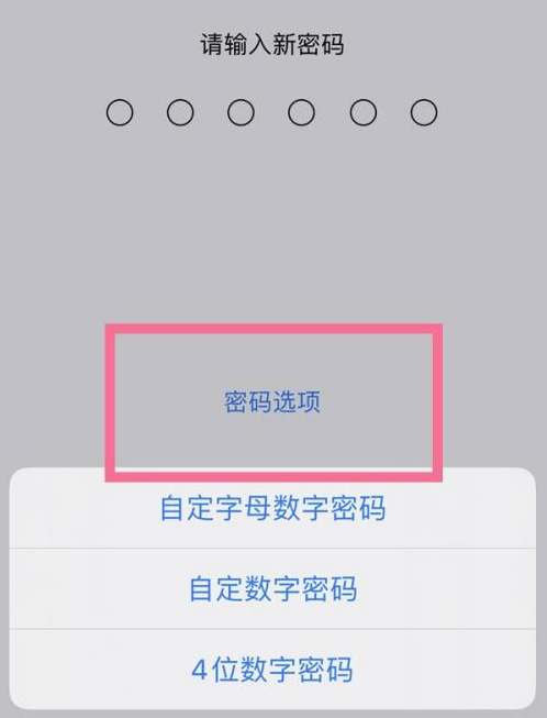 东光苹果14维修分享iPhone 14plus设置密码的方法 