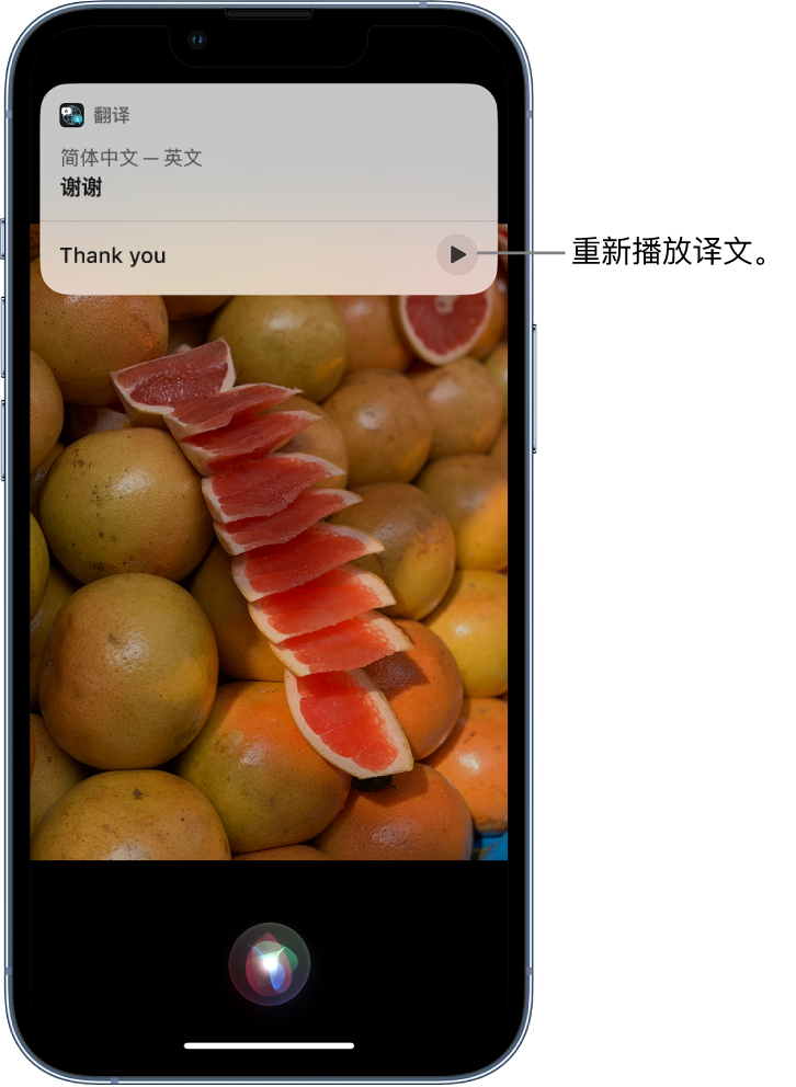 东光苹果14维修分享 iPhone 14 机型中使用 Siri：了解 Siri 能帮你做什么 