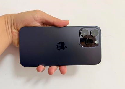 东光苹果维修点分享iPhone 14 Pro Max黑屏少见故障盘点 