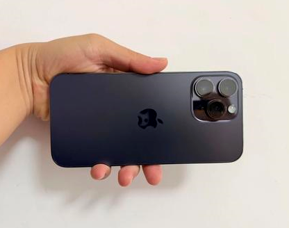 东光苹果维修点分享iPhone 14 Pro Max发烫多重诱因剖析 